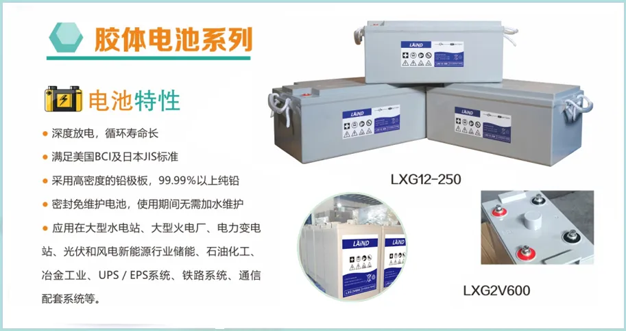 Imgi 6 202504 1 1 2