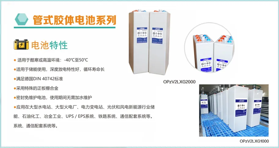 Imgi 6 202504 1 1 3